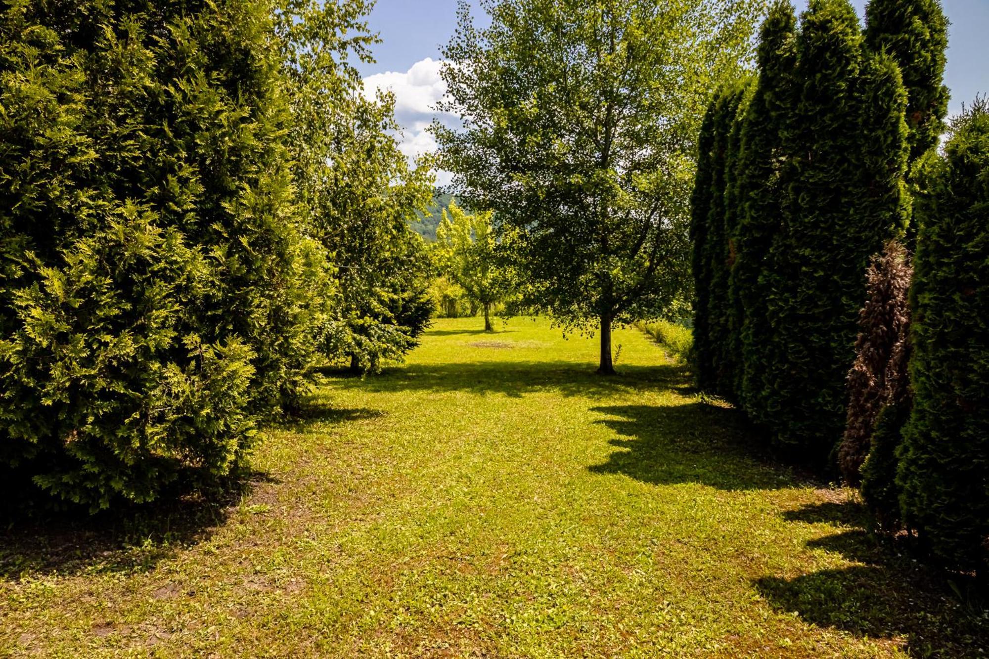 Holiday Home Avita Bihac Ngoại thất bức ảnh